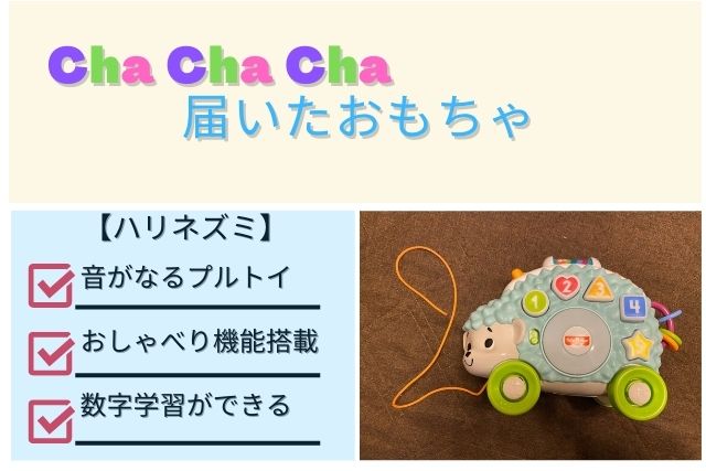 Cha Cha Cha(チャチャチャ)で届いたおもちゃ‐ハリネズミ